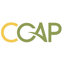 ccap-icon