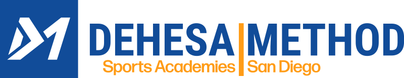 DMSA logo orange and blue final-1