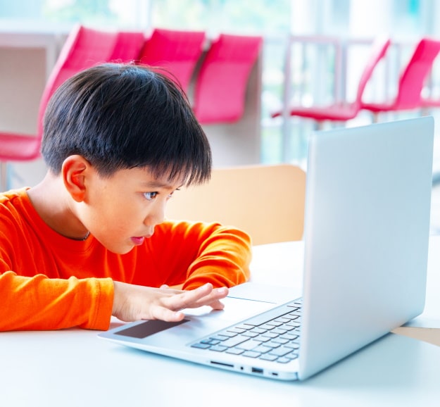 smartfox-customizable-coursework-you-trust